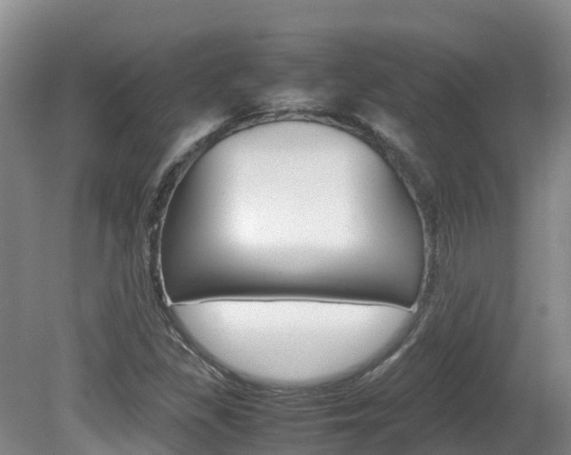 X0000081611309200701151109