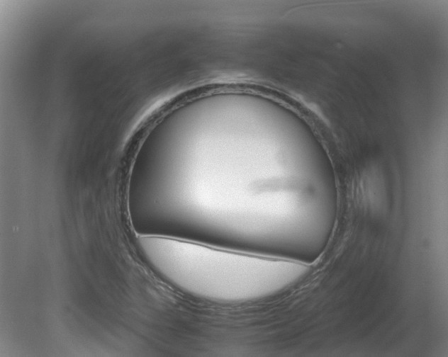 X0000081611311200701151109