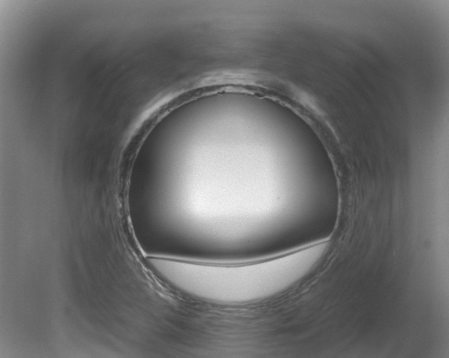 X0000081611312200701151109