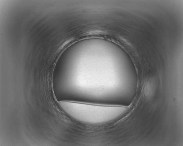 X0000081611313200701151109