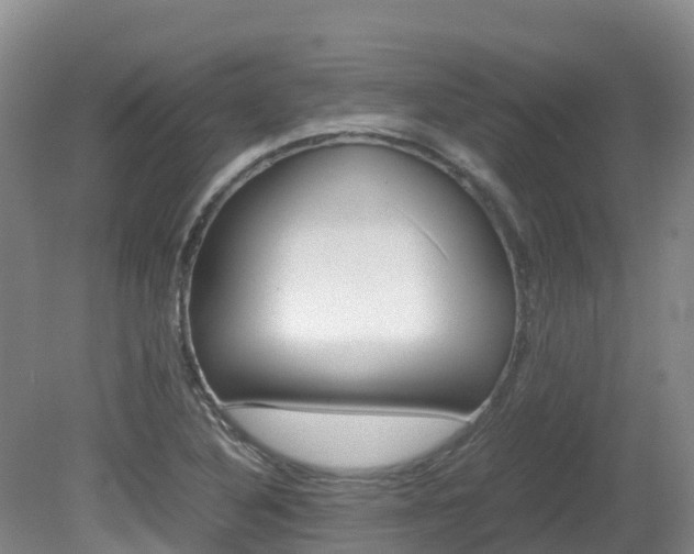 X0000081611316200701151110