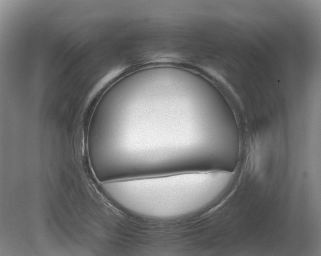 X0000081611317200701151110