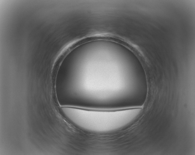 X0000081611319200701151110