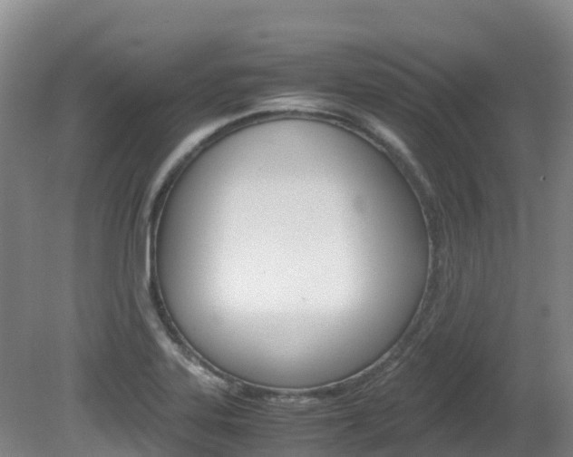 X0000081611323200701151110