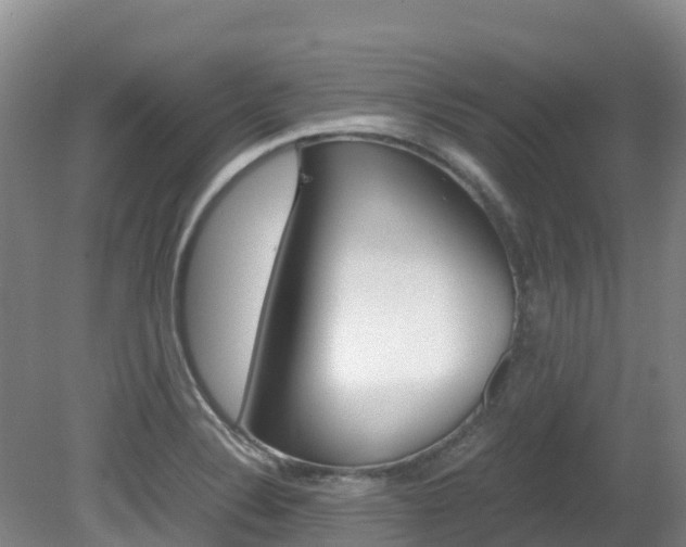 X0000081611324200701151110