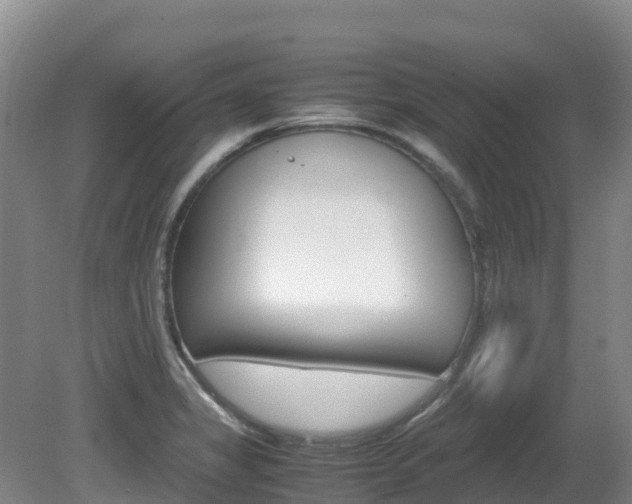 X0000081611325200701151110