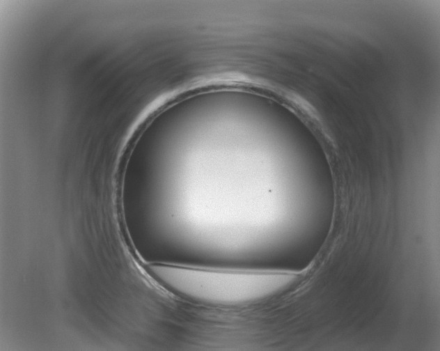 X0000081611326200701151110