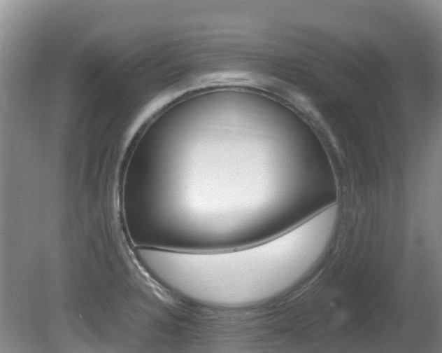 X0000081611328200701151110