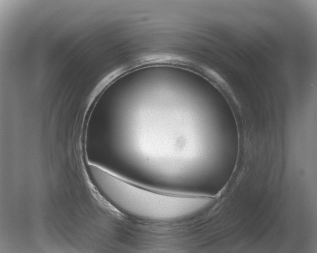 X0000081611330200701151110