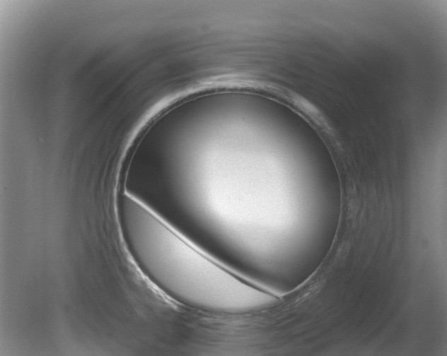 X0000081611334200701151110