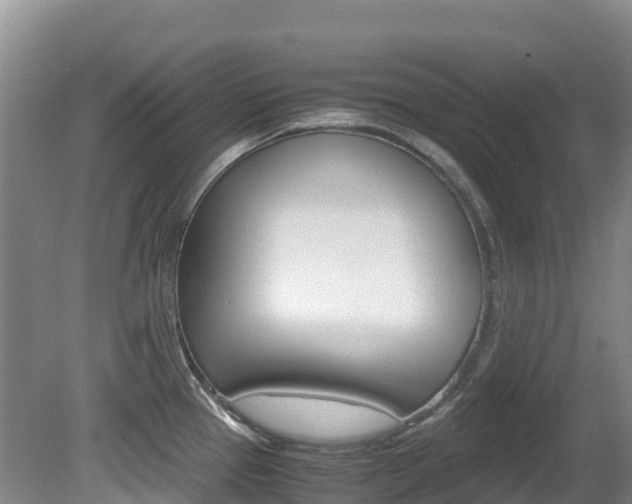 X0000081611337200701151110
