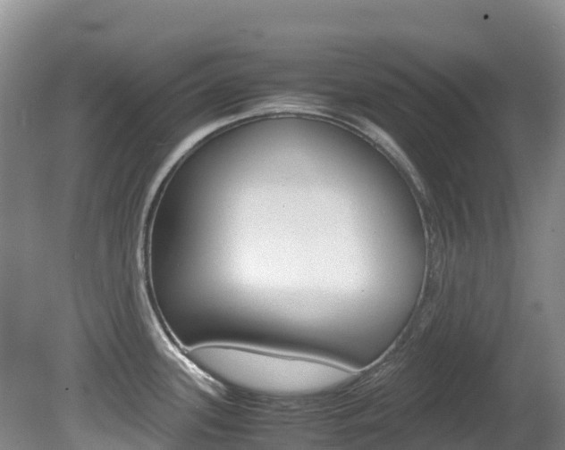 X0000081611339200701151110