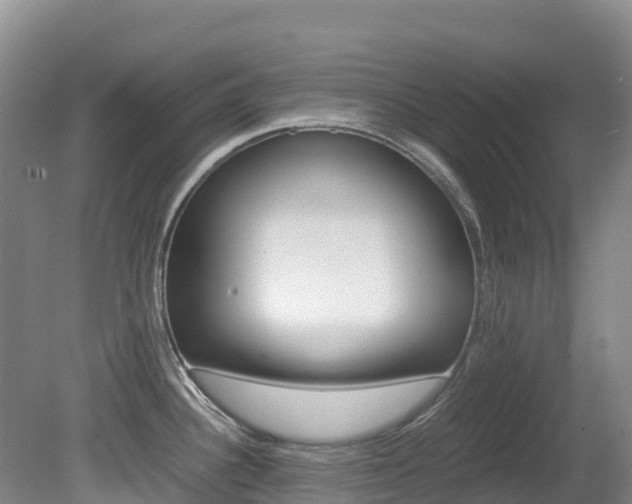 X0000081611340200701151110