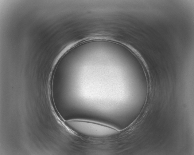X0000081611341200701151110
