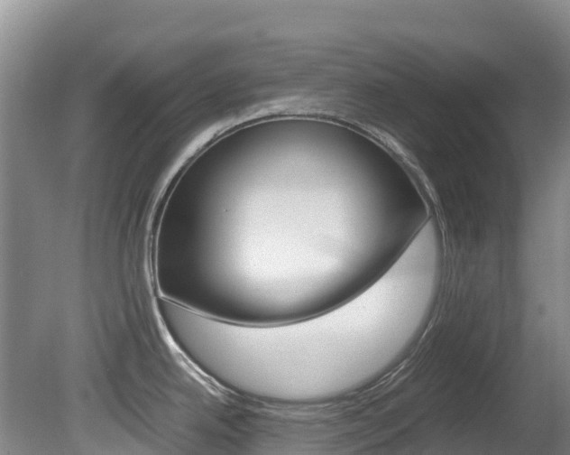 X0000081611342200701151110