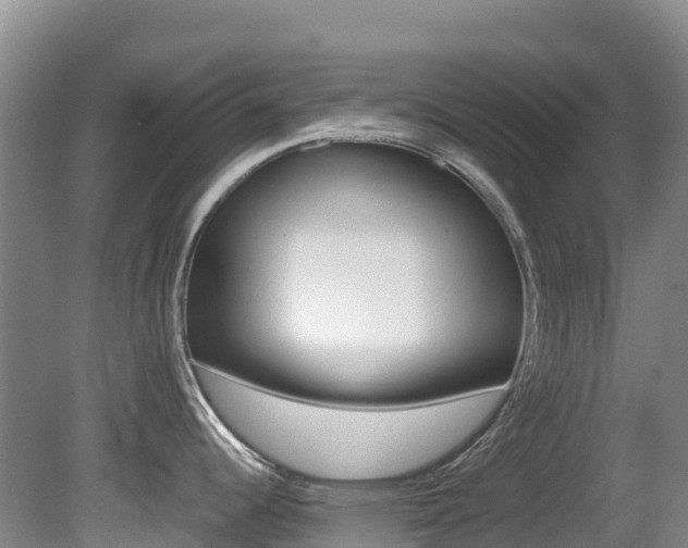 X0000081611344200701151110