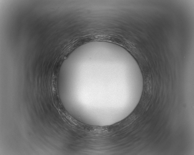 X0000081611346200701151109