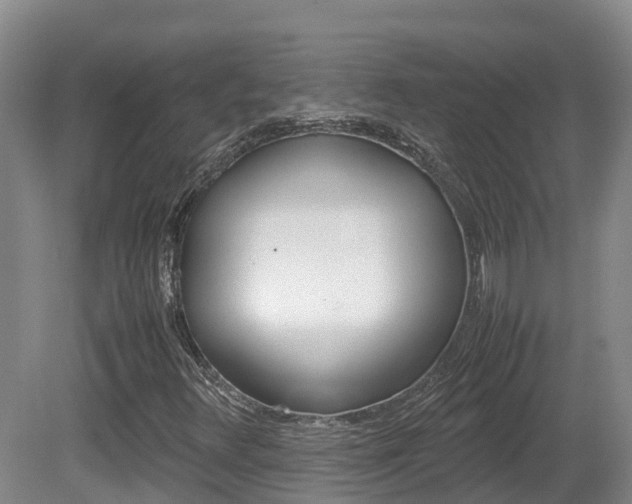 X0000081611348200701151109