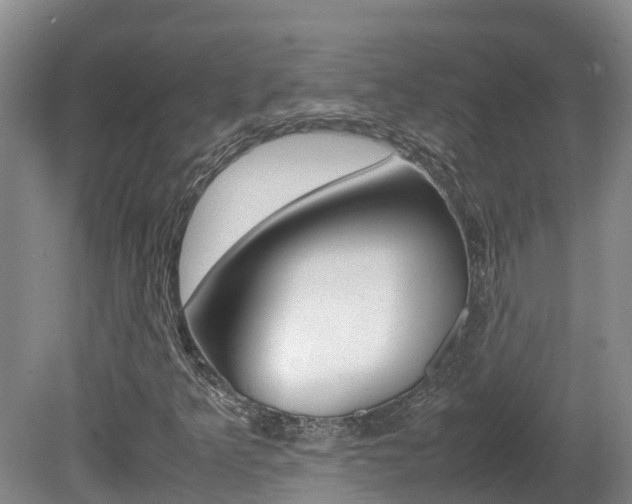 X0000081611349200701151109