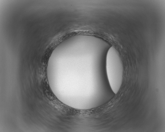 X0000081611350200701151109