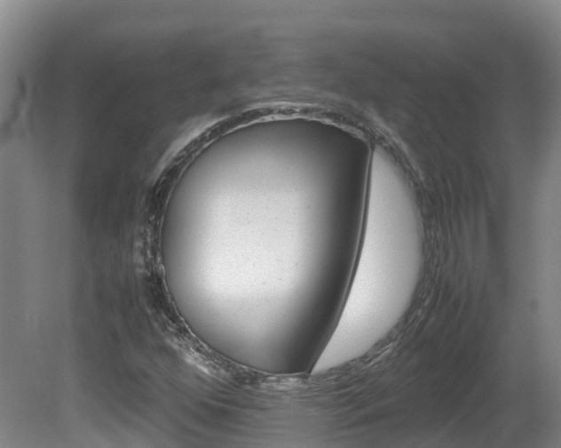 X0000081611352200701151109