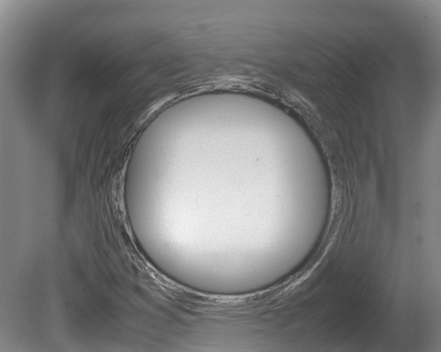 X0000081611353200701151109