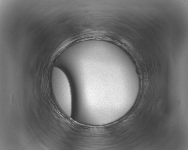 X0000081611354200701151109