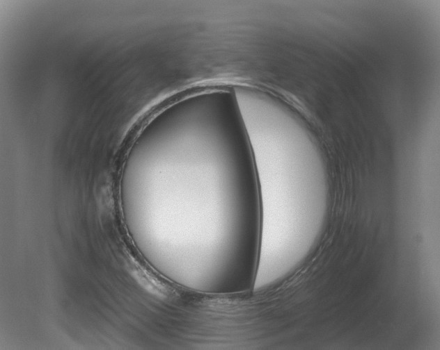 X0000081611356200701151109