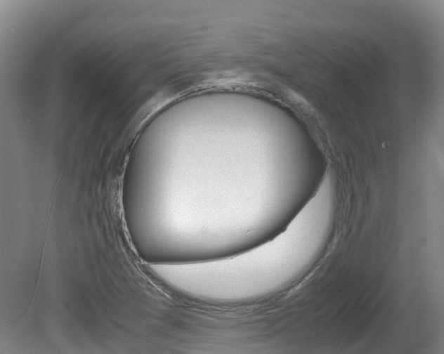 X0000081611361200701151109
