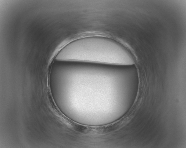 X0000081611365200701151109