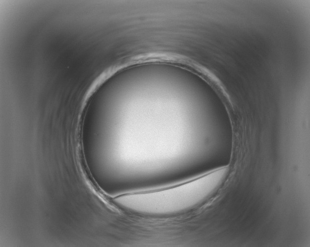 X0000081611373200701151109