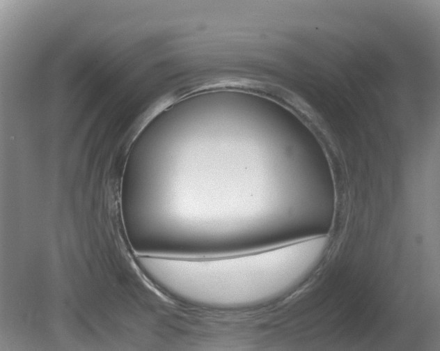 X0000081611377200701151109