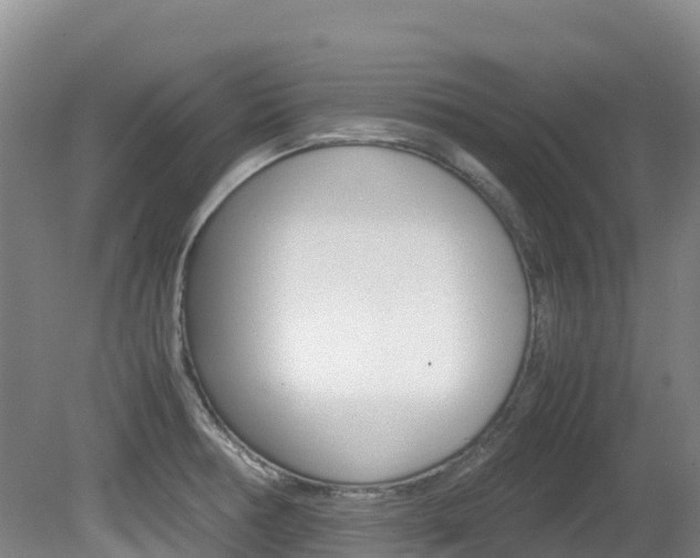 X0000081611378200701151109