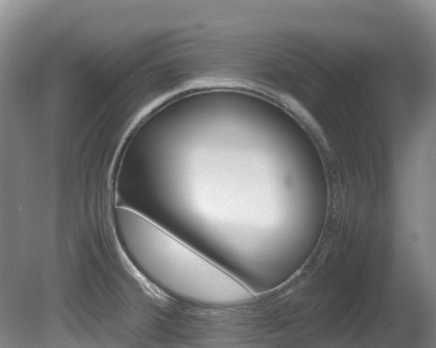 X0000081611380200701151109