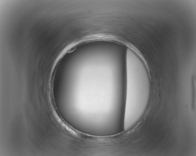 X0000081611381200701151109