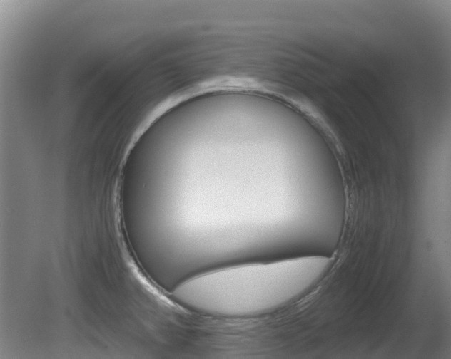 X0000081611382200701151109