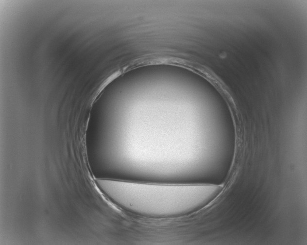 X0000081611385200701151109