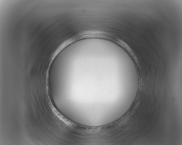 X0000081611386200701151108