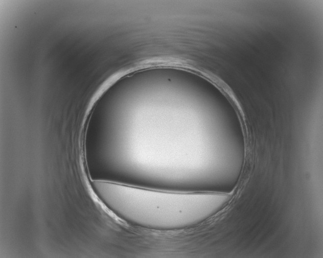 X0000081611389200701151108