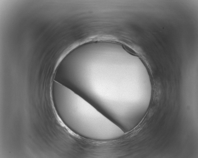 X0000081611390200701151108