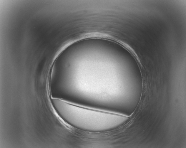X0000081611391200701151108