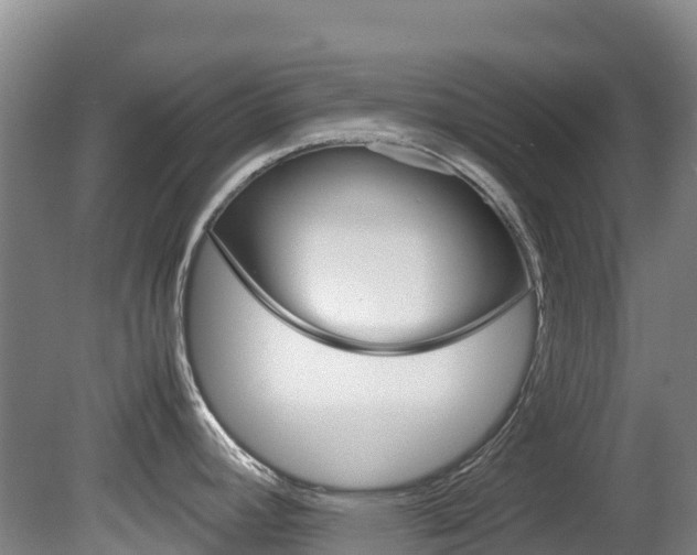 X0000081611392200701151108