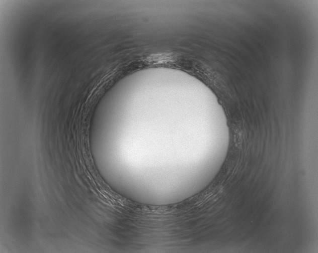 X0000081611393200701151108
