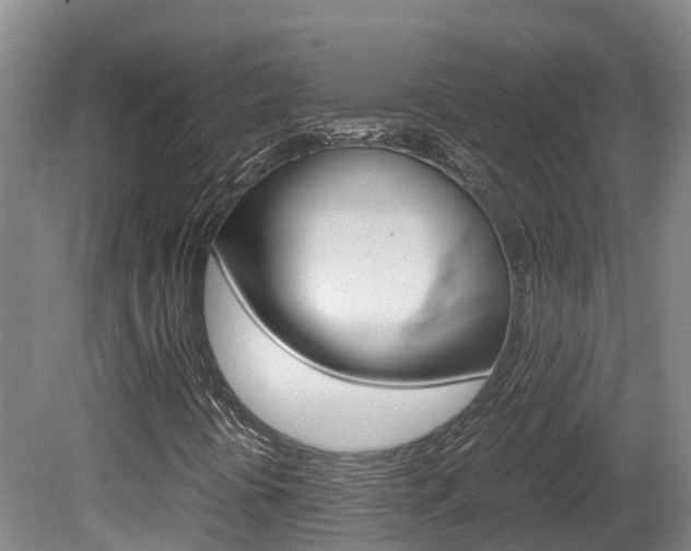 X0000081611394200701151108