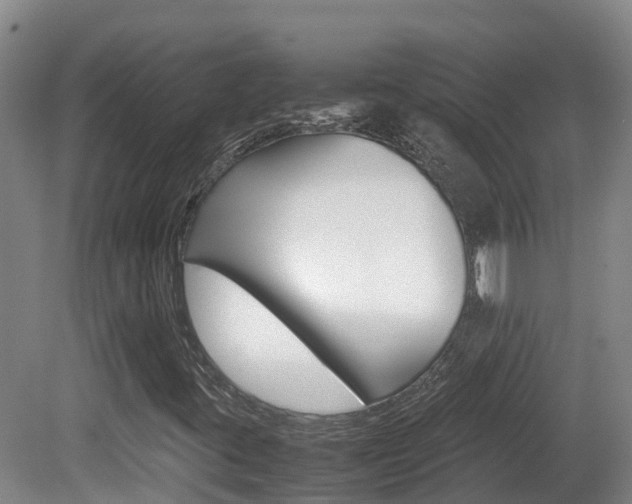 X0000081611395200701151108