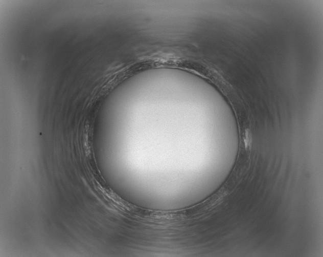 X0000081611396200701151108