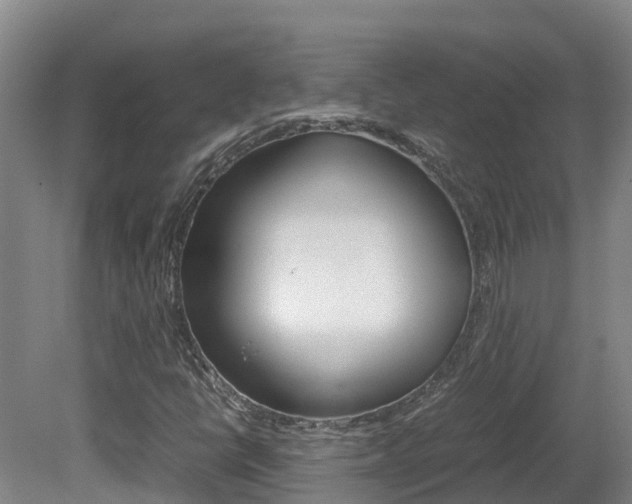 X0000081611398200701151108