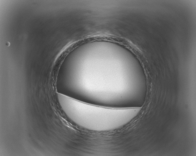 X0000081611400200701151108