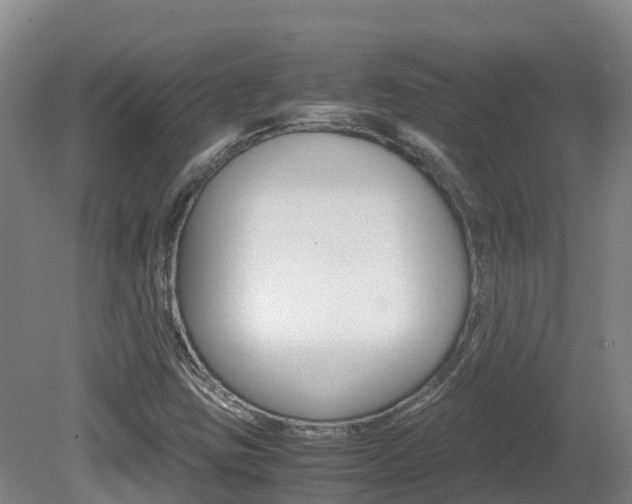 X0000081611403200701151108