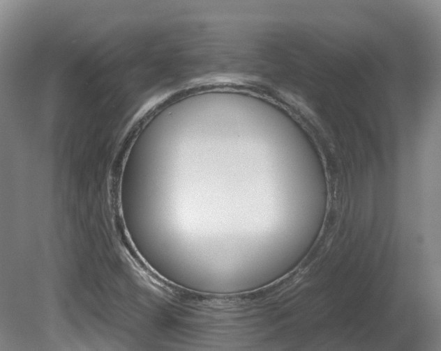 X0000081611404200701151108